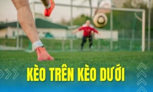 Bí Kíp Bắt Kèo Trên Dưới Cực Chuẩn 2024