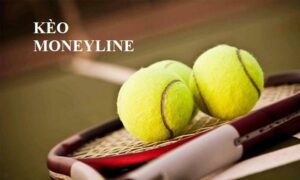 Kèo Moneyline là gì? - Cách tính và hướng dẫn cược chi tiết