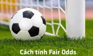 Hướng Dẫn Cách Tính Kèo Fair Odds Cực Kỳ Chi Tiết Cho Người Mới Bắt Đầu