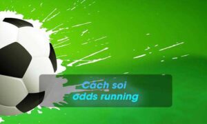 Odds running là gì? Những bí kíp "trâu" soi odds running đảm bảo hiệu quả