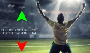 Số tiền thưởng nhận được của cược tỷ số theo kèo Tài Xỉu