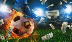 Bật mí nhà cái cá độ bóng chuyên nghiệp, dễ ăn tiền