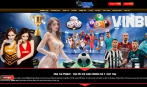 Bóc phốt nhà cái VINBET: Nơi nên đồng hành dài lâu