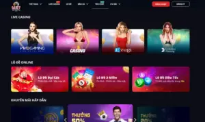 Vì sao nên cá cược tại DABET ngay hôm nay?