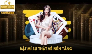 Bật mí sự thật về nền tảng