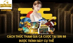 Cách thức tham gia cá cược tại Sin 88 được trình bày cụ thể