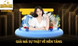 Giải mã sự thật về nền tảng