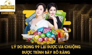 Lý do Bong 99 lại được ưa chuộng được trình bày rõ ràng
