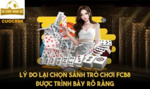 Lý do lại chọn sảnh trò chơi Fcb 8 được trình bày rõ ràng