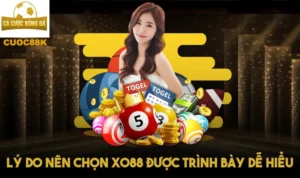 Lý do nên chọn Xo88 được trình bày dễ hiểu