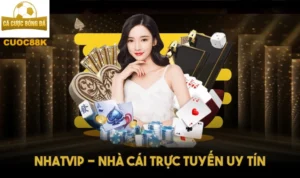Nhatvip - Nhà cái trực tuyến uy tín