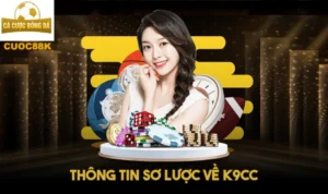 Thông tin sơ lược về K9CC
