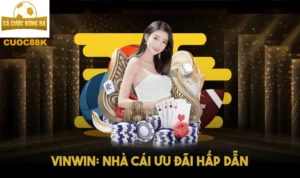 Vinwin: Nhà cái ưu đãi hấp dẫn
